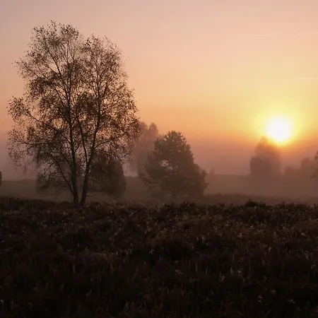 Schoenstes Kleines In Der Lue-heide