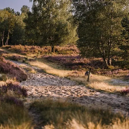 Casa vacanze Schoenstes Kleines In Der Lue-heide