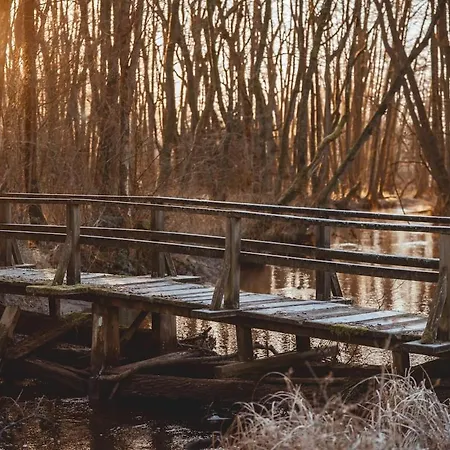 Schoenstes Kleines In Der Lue-heide Casa vacanze Egestorf