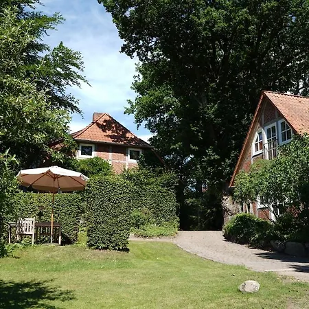 Schoenstes Kleines In Der Lue-heide *
