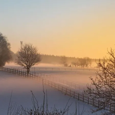 Schoenstes Kleines In Der Lue-heide Egestorf