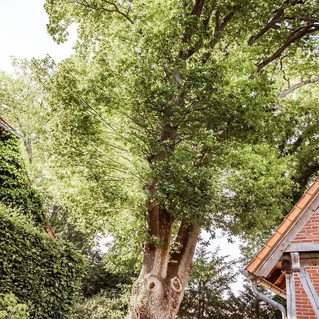 Schoenstes Kleines In Der Lue-heide Egestorf