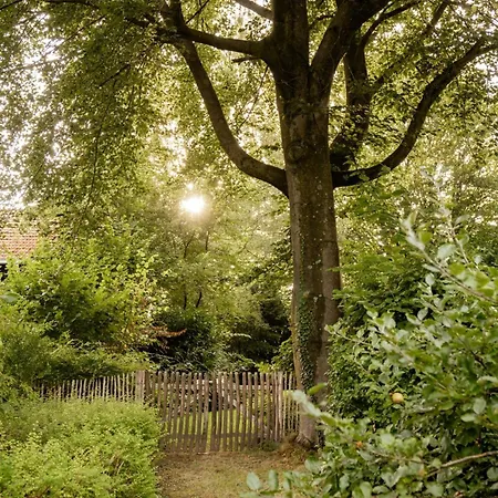Schoenstes Kleines In Der Lue-heide * Egestorf