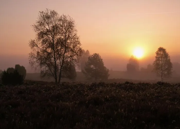 Schoenstes Kleines In Der Lue-heide