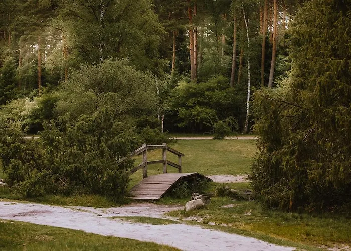 Schoenstes Kleines In Der Lue-heide 埃格斯托夫