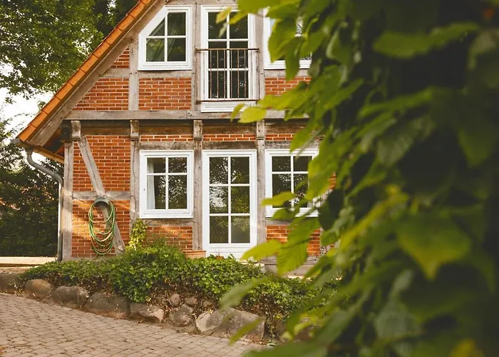Schoenstes Kleines In Der Lue-heide 埃格斯托夫