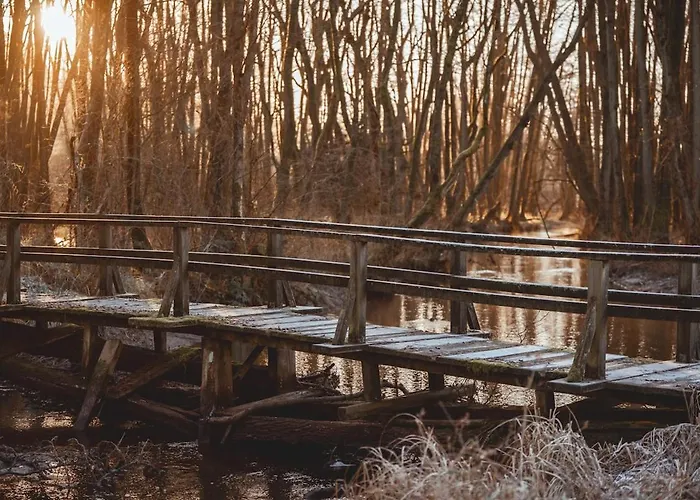 Schoenstes Kleines In Der Lue-heide 度假居 埃格斯托夫