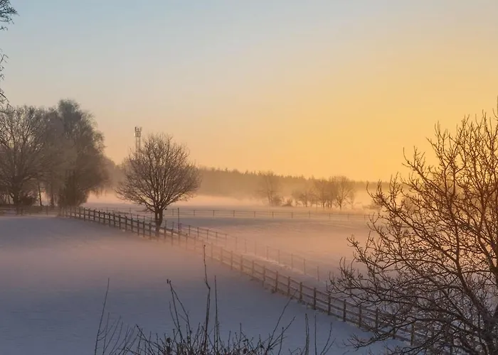 Schoenstes Kleines In Der Lue-heide 埃格斯托夫