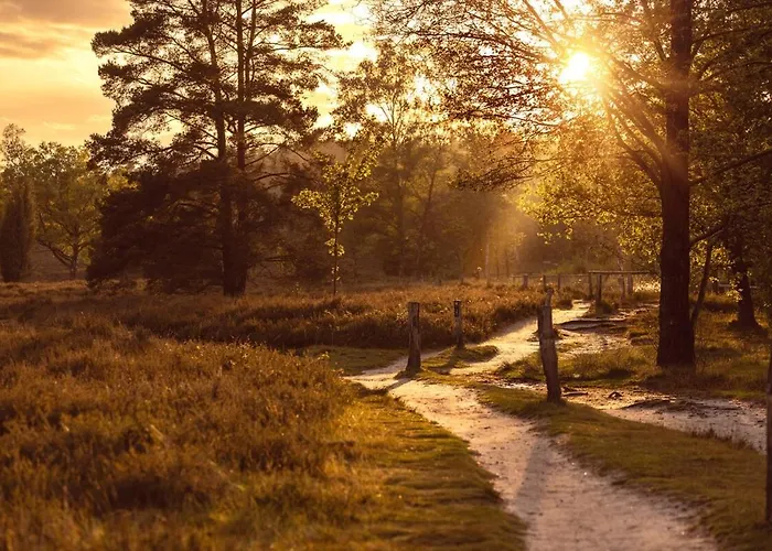 Schoenstes Kleines In Der Lue-heide 埃格斯托夫